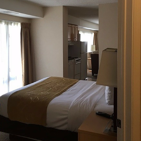 24 Hours in Chicago - Comfort Suites Michigan Avenue