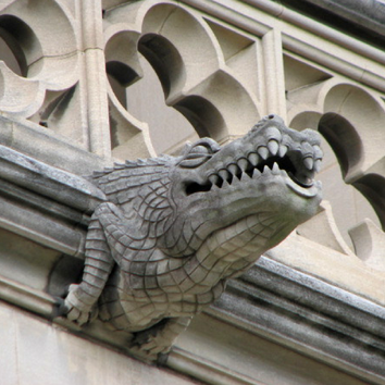 You never know what you might find as you walk around the Washington National Cathedral. One of 10 fun ways to experience DC.
