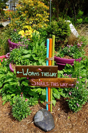 Colorful signs at the Riverbanks Zoo | 7 Fun Things to Do in Columbia, South Carolina #RealColumbiaSC