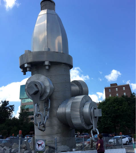 Don't miss any of the street art in Columbia, South Carolina | 5 Cities in the USA with Fascinating Street Art #streetart