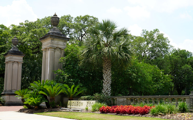 Check out 8 fun things to do while you are visiting. 