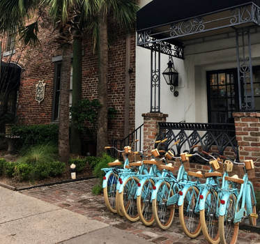 Sunday morning in Charleston | 20 Colorful Photos from a Weekend in the Charleston Area