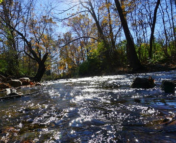 The view of the last days of fall on Owen's Creek. It flows under the Roddy Road Covered Bridge in Frederick County, Maryland. 