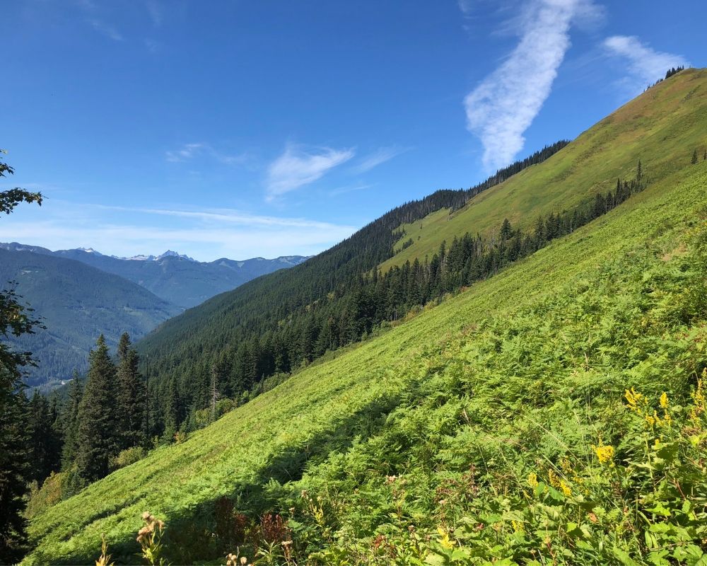 4 Great Day Hikes in the Seattle Area | Green Mountain