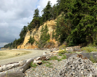 4 Great Day Hikes in the Seattle Area | Camano Island State Park