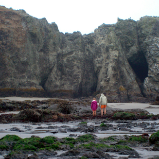 Get Up & Go - 6 Road Trip Ideas | Exploring tide pools at low tide in Bandon, Oregon