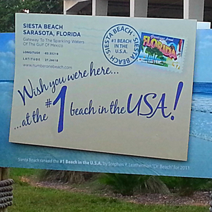 Get Up & Go - 6 Road Trip Ideas | Siesta Key, Florida