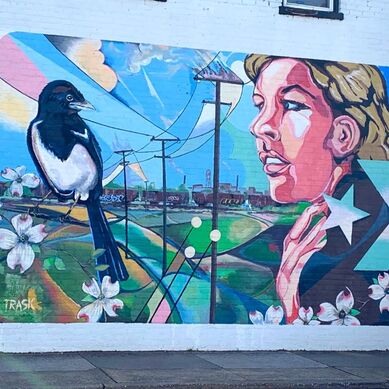 The street art in Richmond Virginia is amazing!