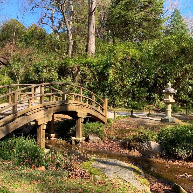 Winter at the Japanese Garden at Maymont in Richmond, Virginia. 