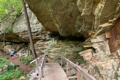 Views from the Tunnel Trail at New River Gorge National Park and Preserve.