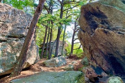 Explore ideas for an active family vacation with destinations that range from mountains and lakes to beaches and parks all across the USA.