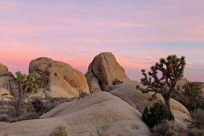 Pink sunset sky at Joshua Tree National Park.