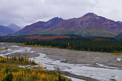 Scenes in Denali National Park