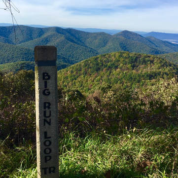View from the overlook on Skyline Drive in Shenandoah National Park. 