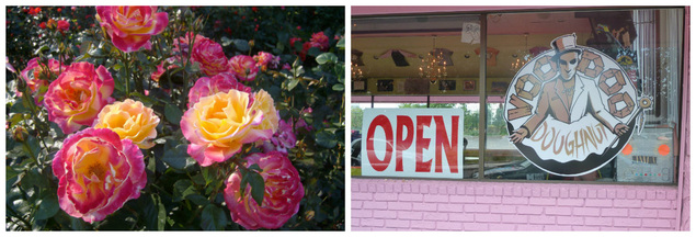 Portland, OR - Pacific Northwest Road Trip