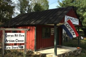 5 Ways to Spend the Day in Loudoun County Virginia