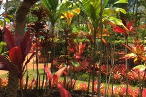 3 Days on Oahu: A Photo Blog