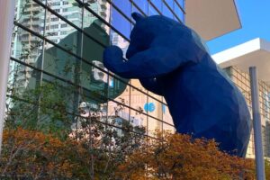 Discover 8 Great Things to Do In and Around Denver Colorado