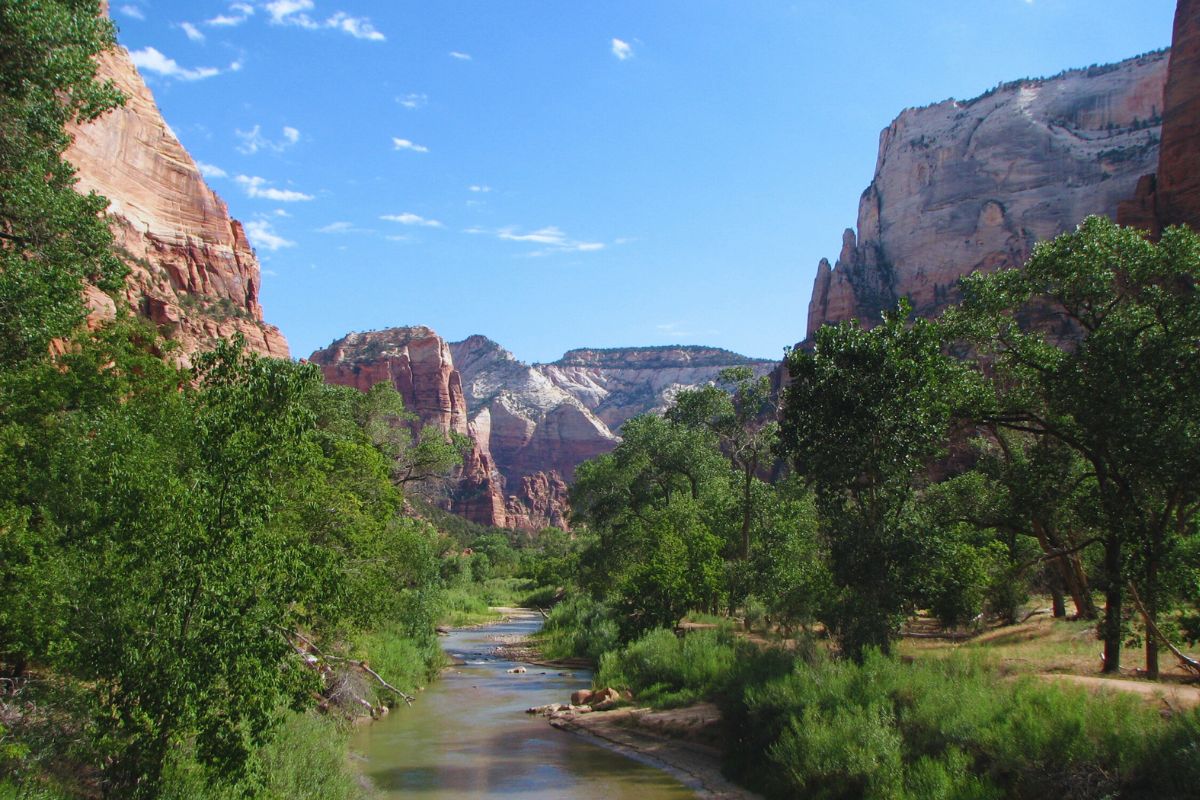 mountains and river Zion National Park